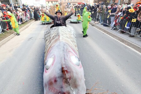 ZLATA POROKA PUSTNI KARNEVAL 54 FOTO LJUBO VUKELIČ